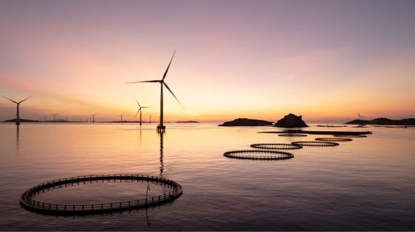 Sunset over wind turbines at sea