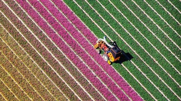 Aerial view of a tractor ploughing a field