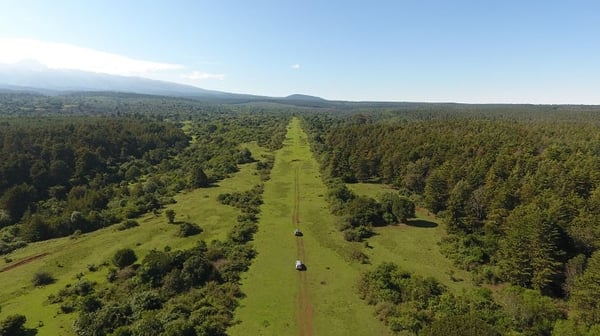 Aerial view of off-road vehicles