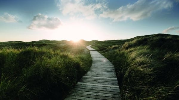 Path on a beach