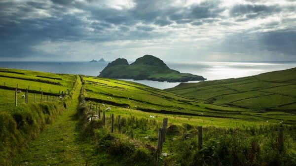 Looking down a country path towards Puffin Island