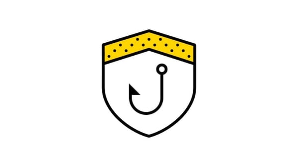 Insurance protection scams icon