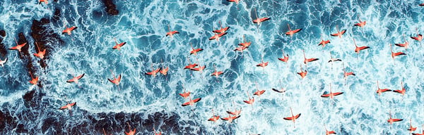 Flock of flamingo's flying over the ocean