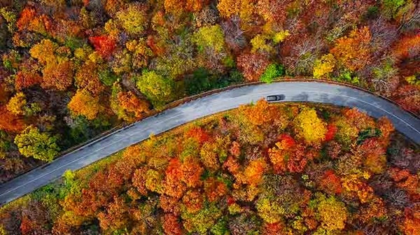 Overhead aerial view of winding road