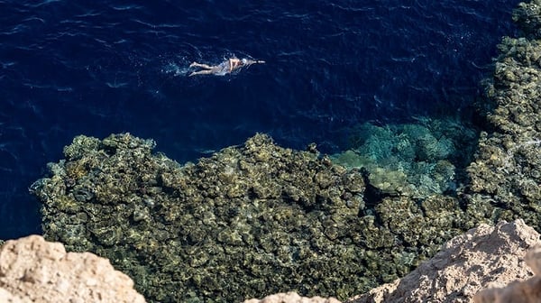 Lewis Pugh swimming in the Red Sea