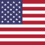 America flag icon